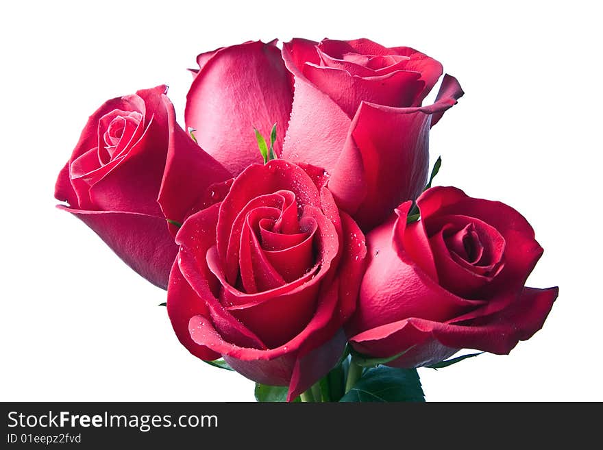 Bouquet from five red roses on a white background.