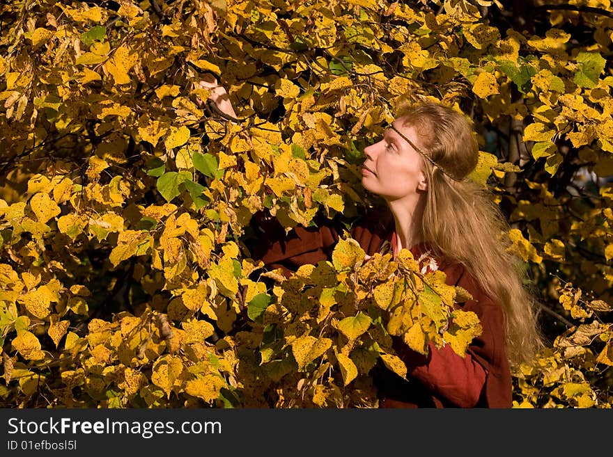 The blonde girl in medieval red dress in the autumn forest. The blonde girl in medieval red dress in the autumn forest