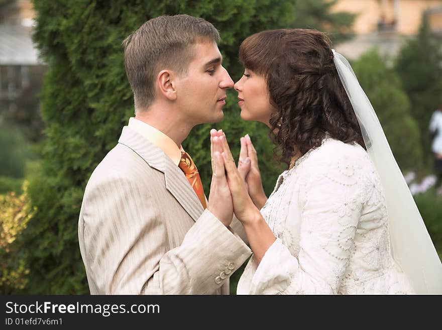 The newlyweds walking in park after the wedding. The newlyweds walking in park after the wedding