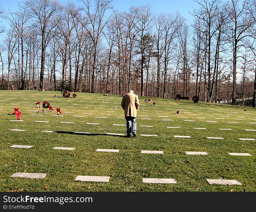 Older man visits a national cemetery at Christmas. Older man visits a national cemetery at Christmas