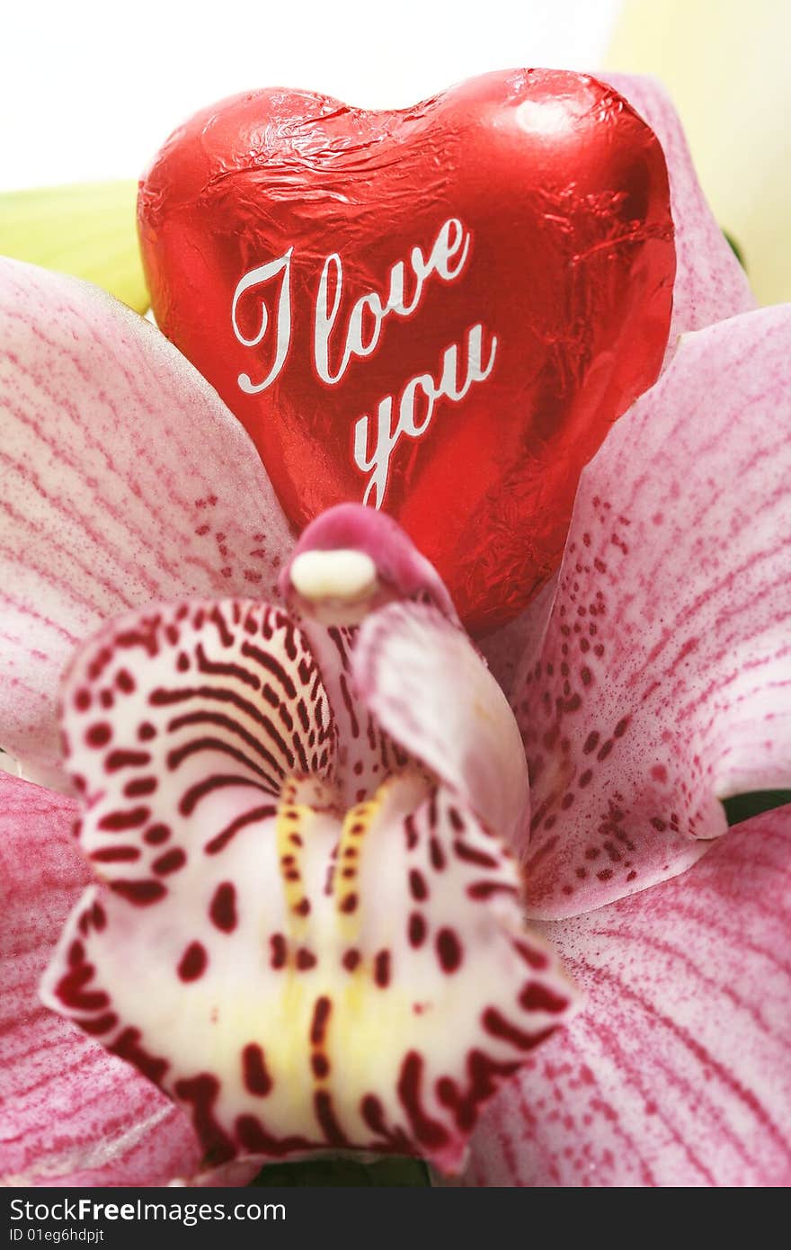 Valentine Heart with orchid for valentine´s day.