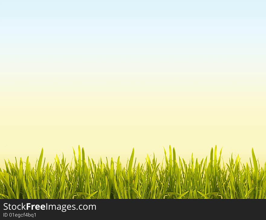 Solar meadow with a green juicy grass. Horizontal background