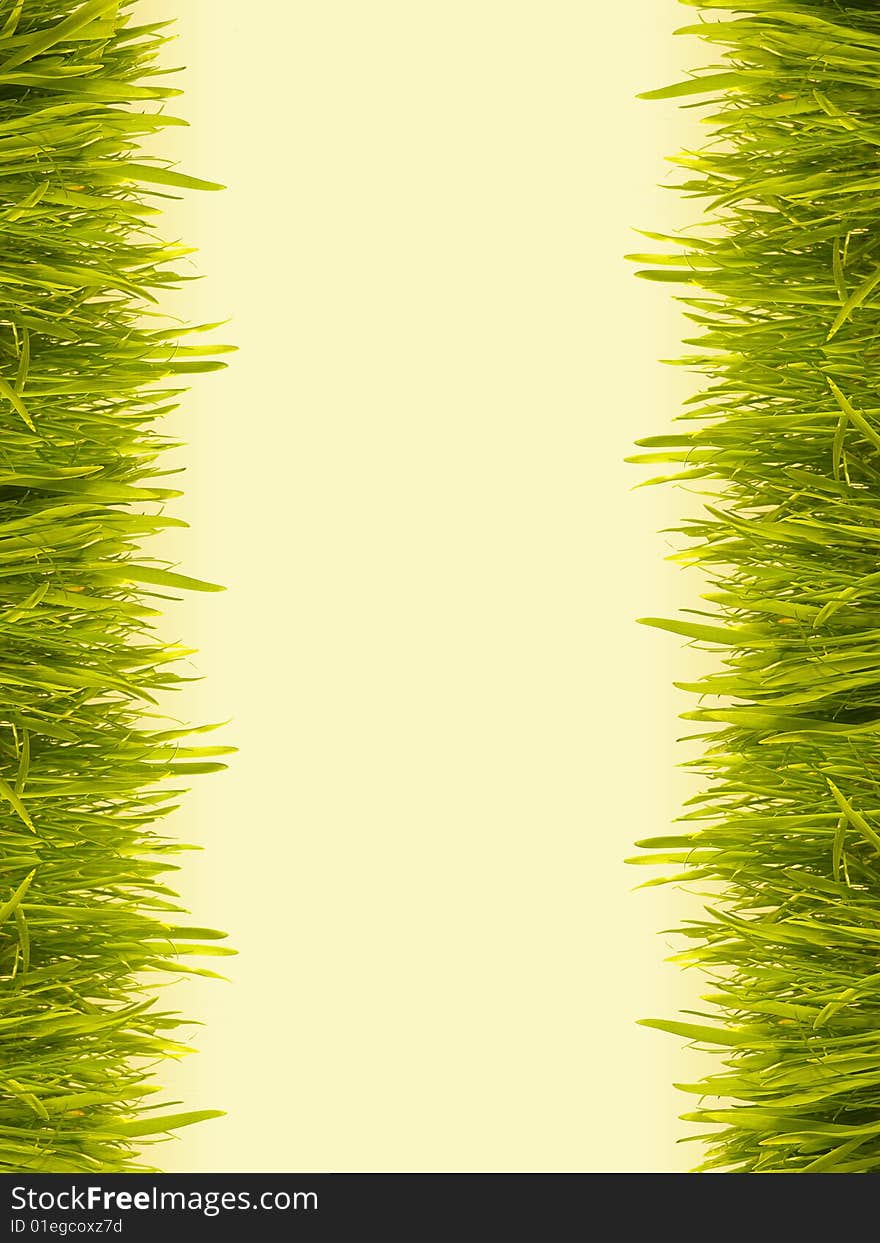 Grass