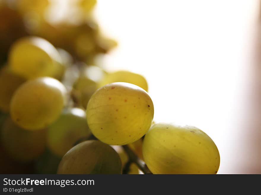 Grape on the wood table