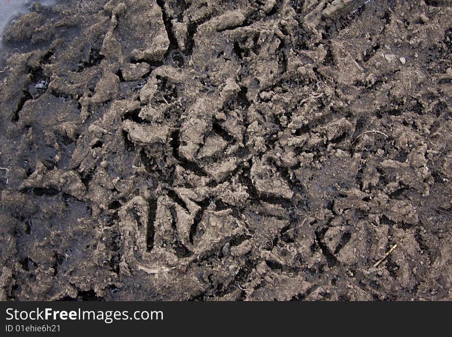 Filthy ground close-up texture pattern background