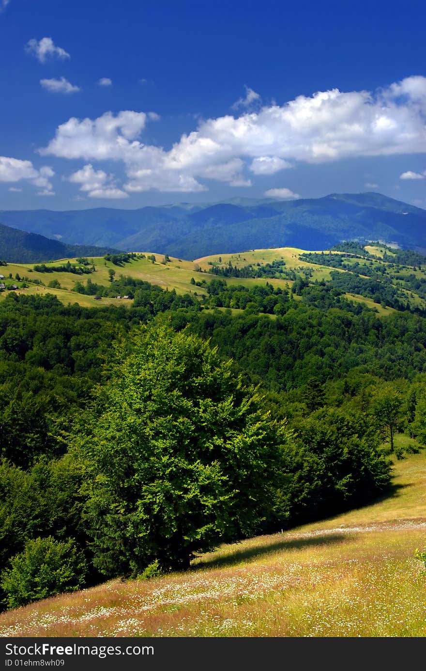 Summer Mountains Landscape