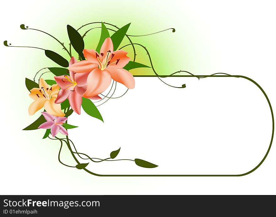 Vector illustraition of elegant floral frame