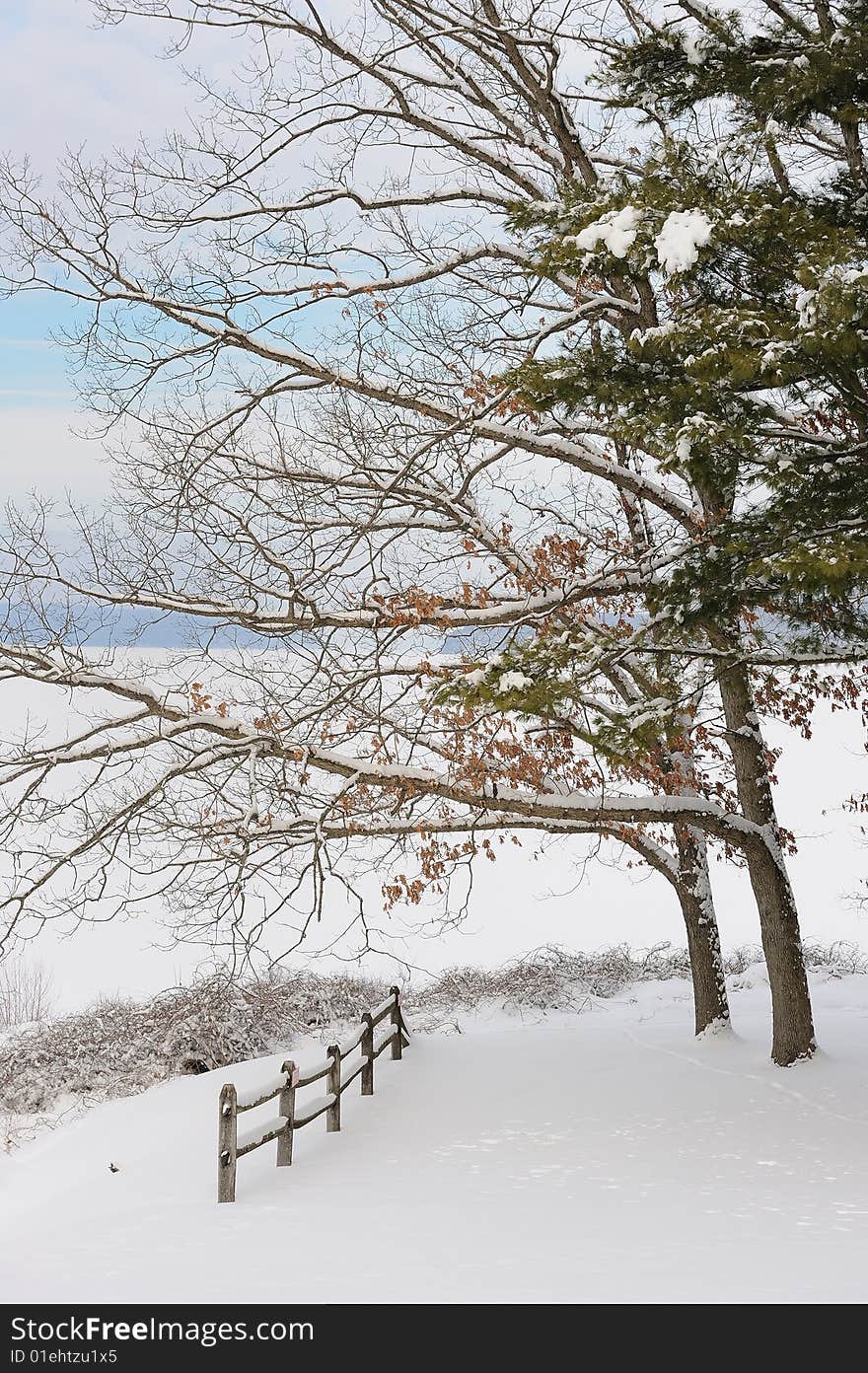 Winter landscape on the lake