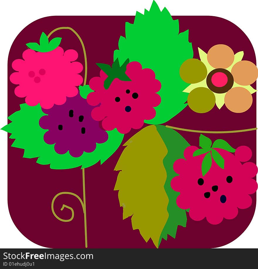 The red raspberry, vector illustration. The red raspberry, vector illustration