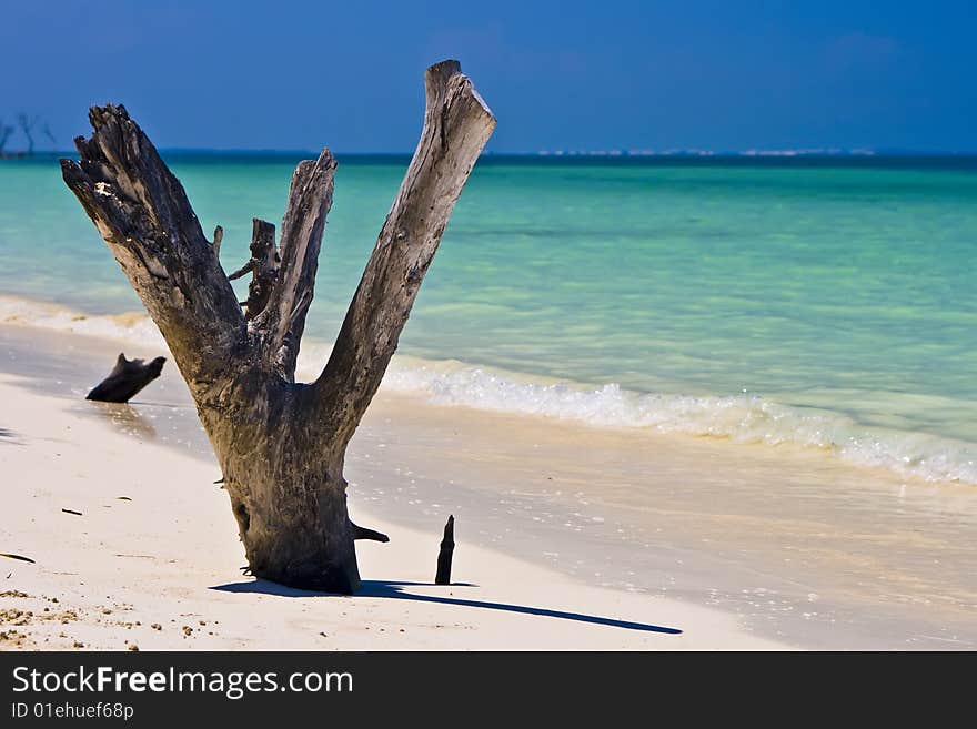 Beautiful panorama of tropical Cayo Blanco. Beautiful panorama of tropical Cayo Blanco.