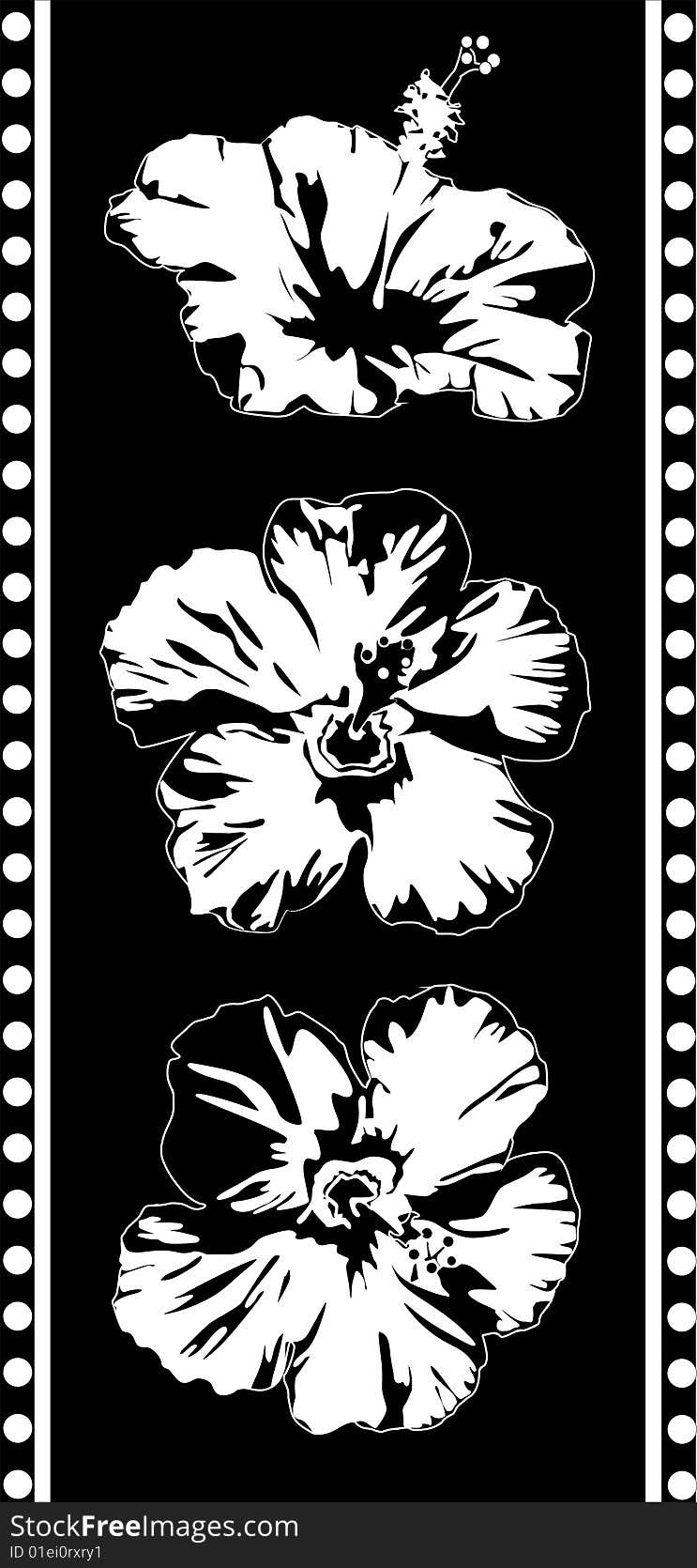 It is black a white background from flowers