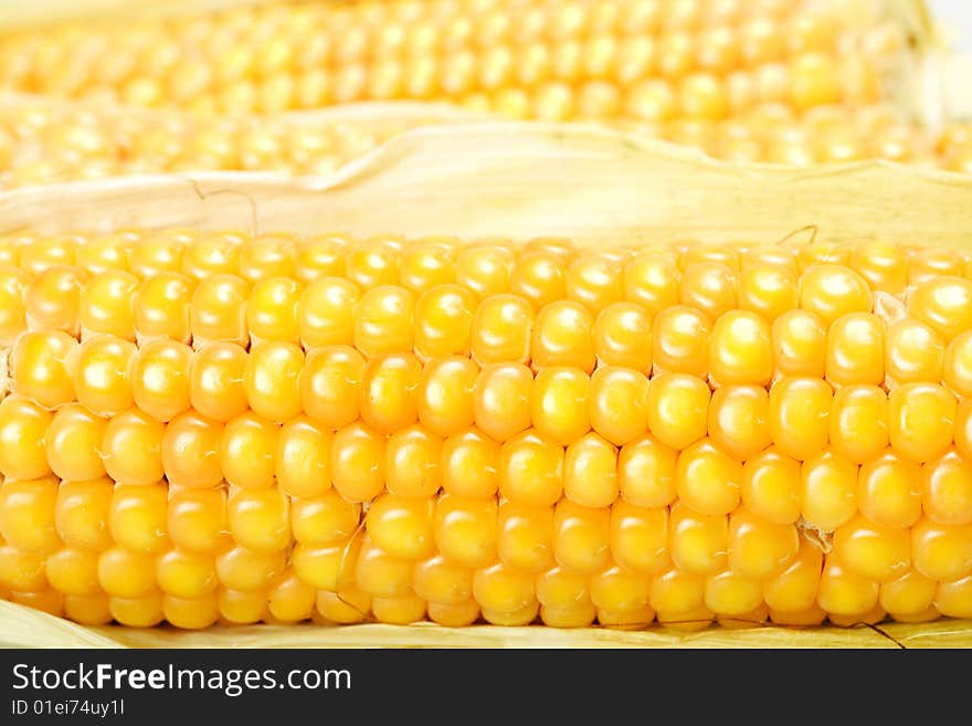 Freshly harvested corn close up