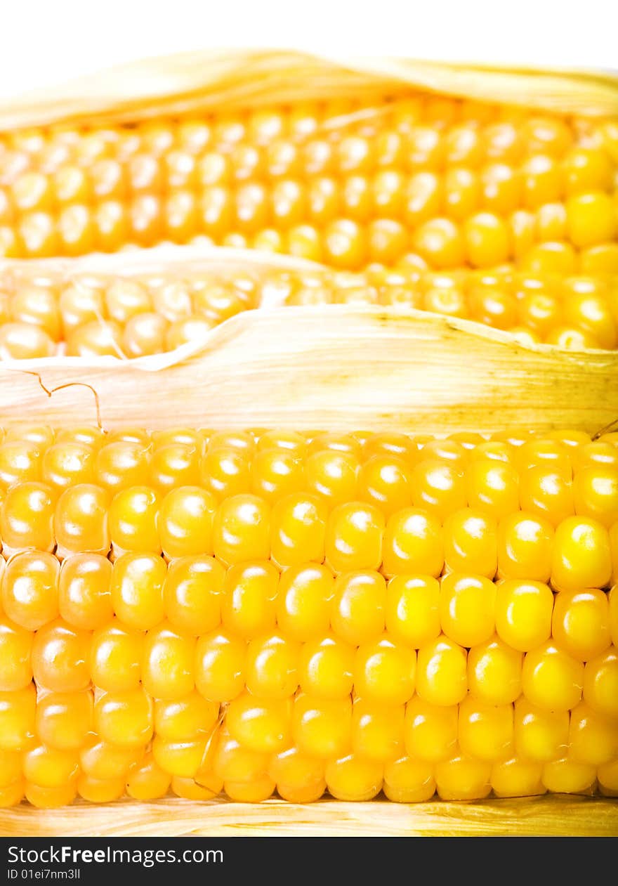 Freshly harvested corn close up