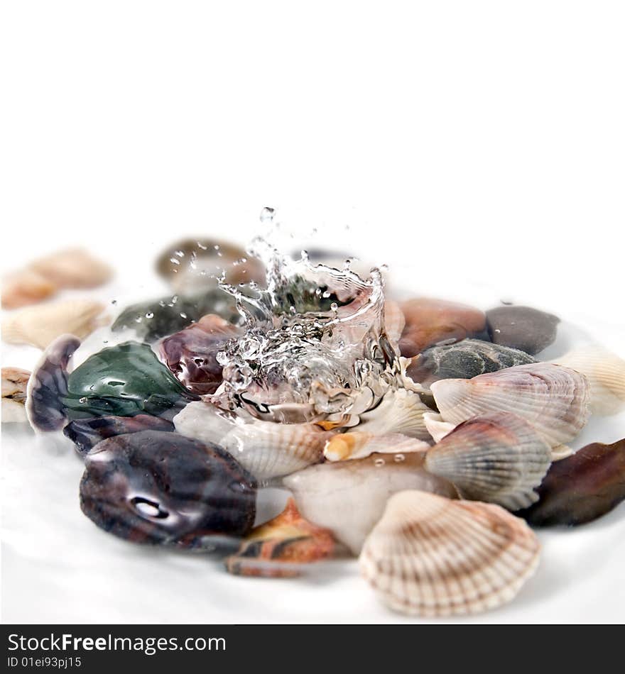 Water splash with various color shells isolated on white