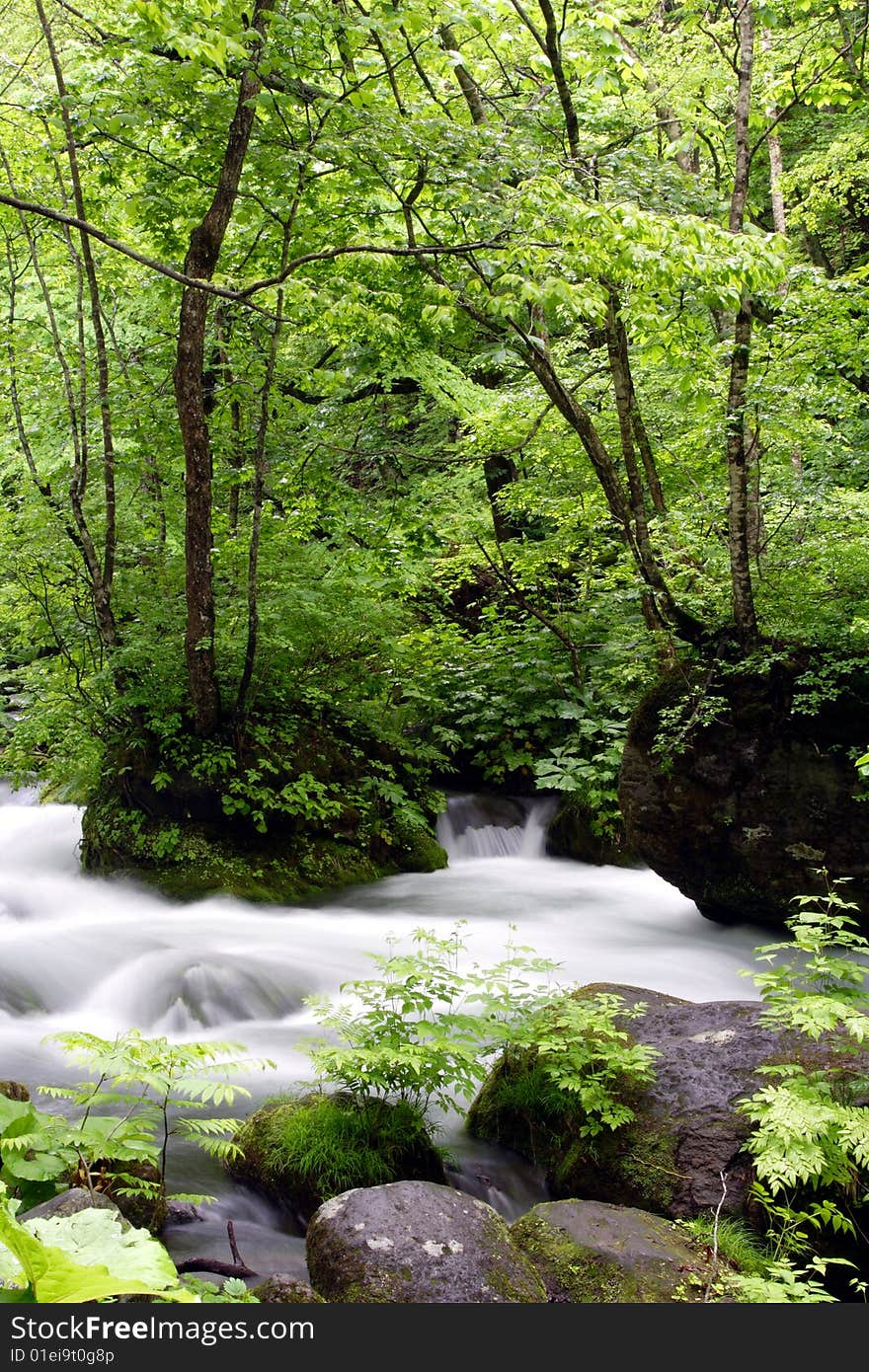 Oirase-gawa River in the Japan