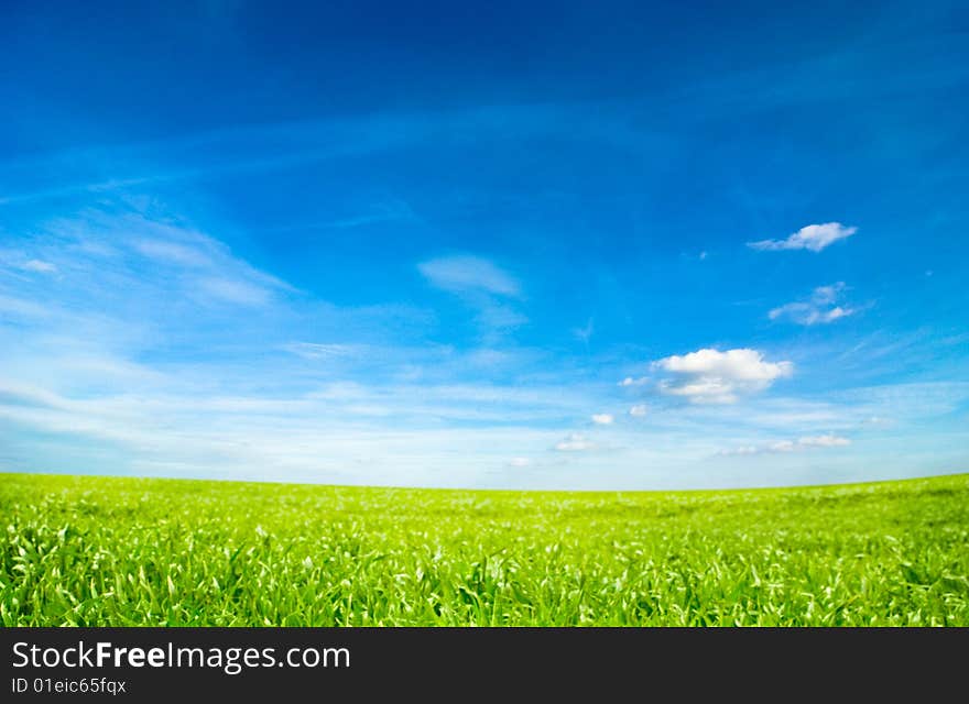 Background of cloudy sky and grass. Background of cloudy sky and grass