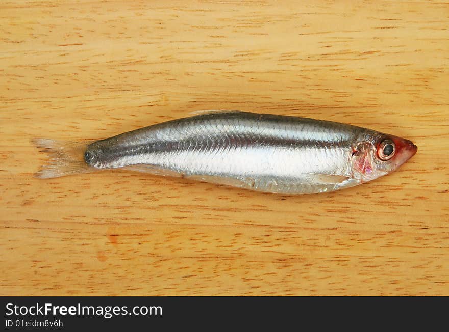 A single Sprat fish on a wooden board. A single Sprat fish on a wooden board