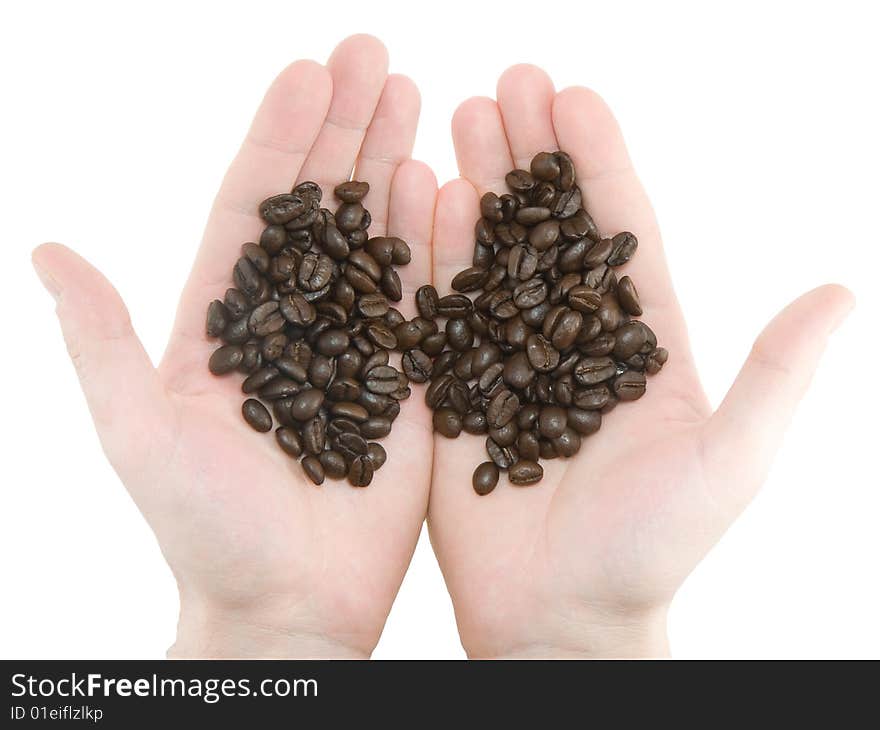 Coffee (grains) beans in a hands. Coffee (grains) beans in a hands.