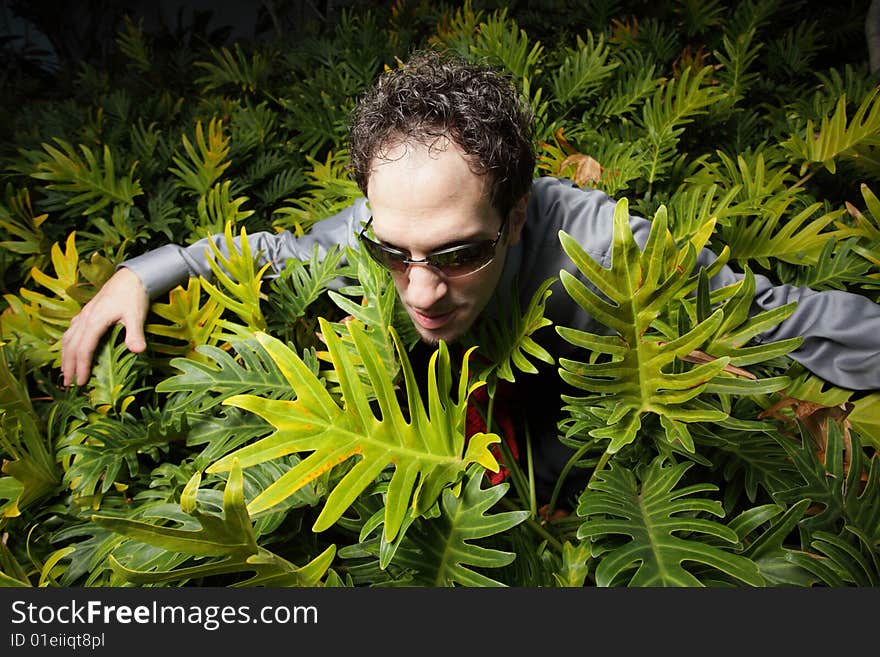 Businessman among green bushes in a field. Businessman among green bushes in a field