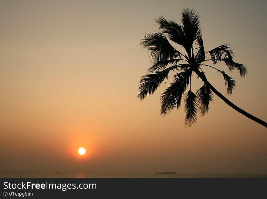 Contemplate by sunset