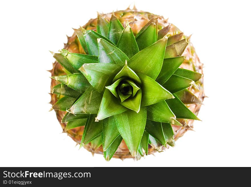 Pineapple isolated on white background. Pineapple isolated on white background