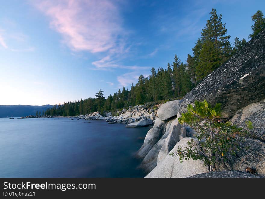 A line of tall pine trees stands along Lake Tahoe at Sunset. A line of tall pine trees stands along Lake Tahoe at Sunset