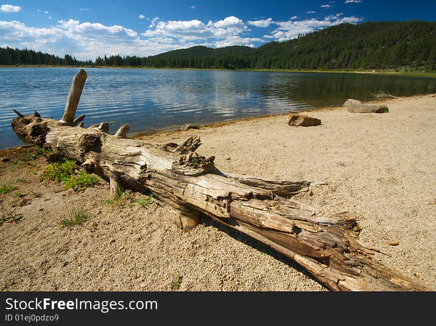 Log and Lake