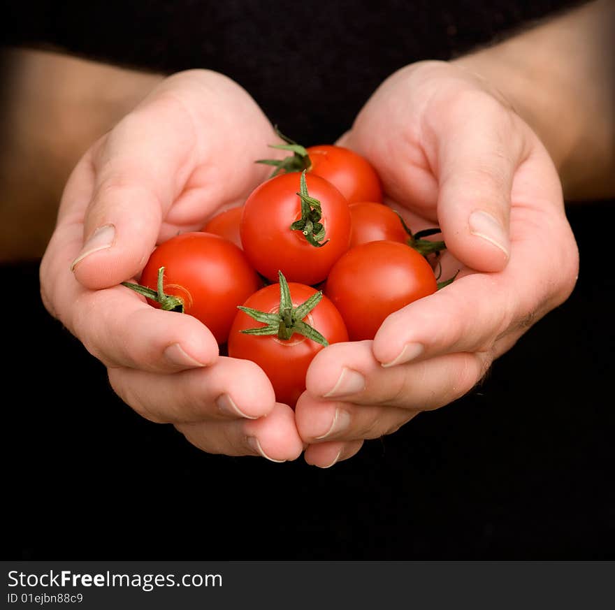 Hands with cherry tomates isolated on black background