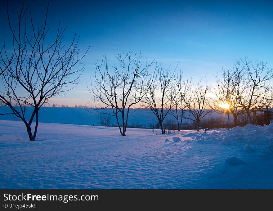 Frost morning