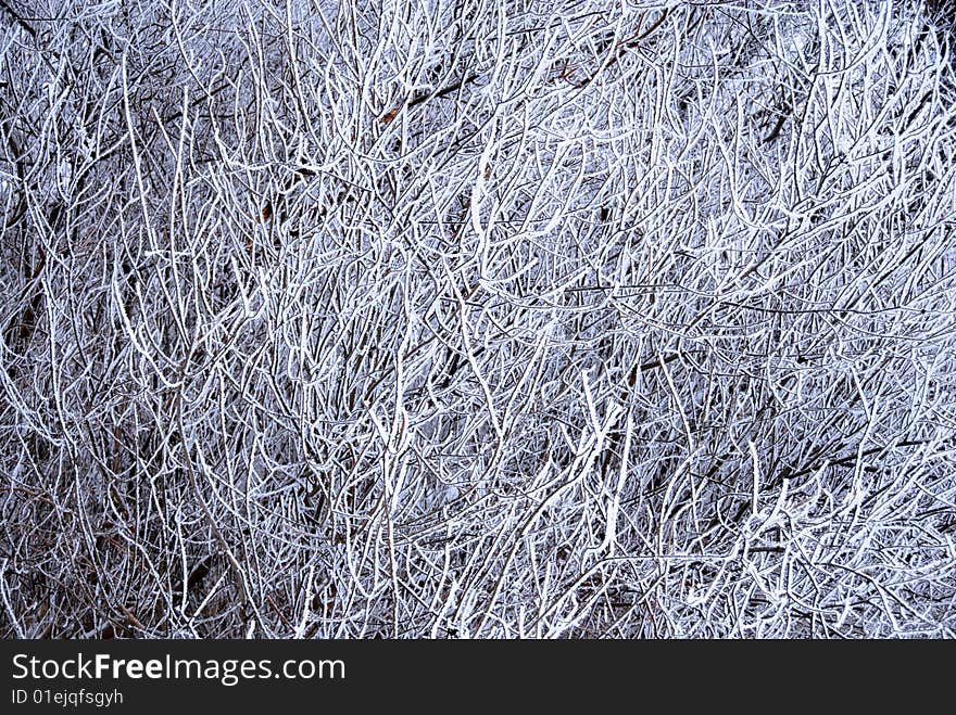 Tree dense branches with ice crystals abstract background. Tree dense branches with ice crystals abstract background