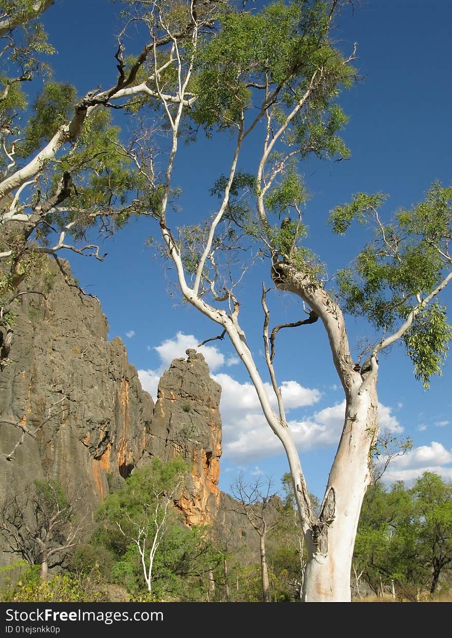 Australian landscape with geological feature of rock formations and specific vegetation. Windiana Gorge National Park, Western Australia, Australia.