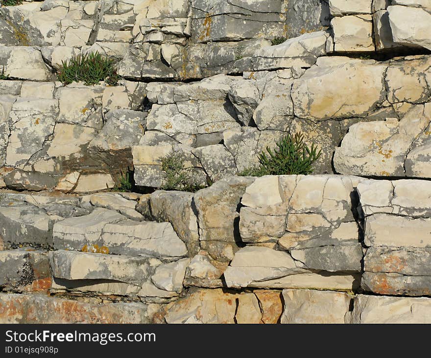 Stony pattern wall with few plants growing up between rifts. Great for wallpapers or backgrounds. Stony pattern wall with few plants growing up between rifts. Great for wallpapers or backgrounds.