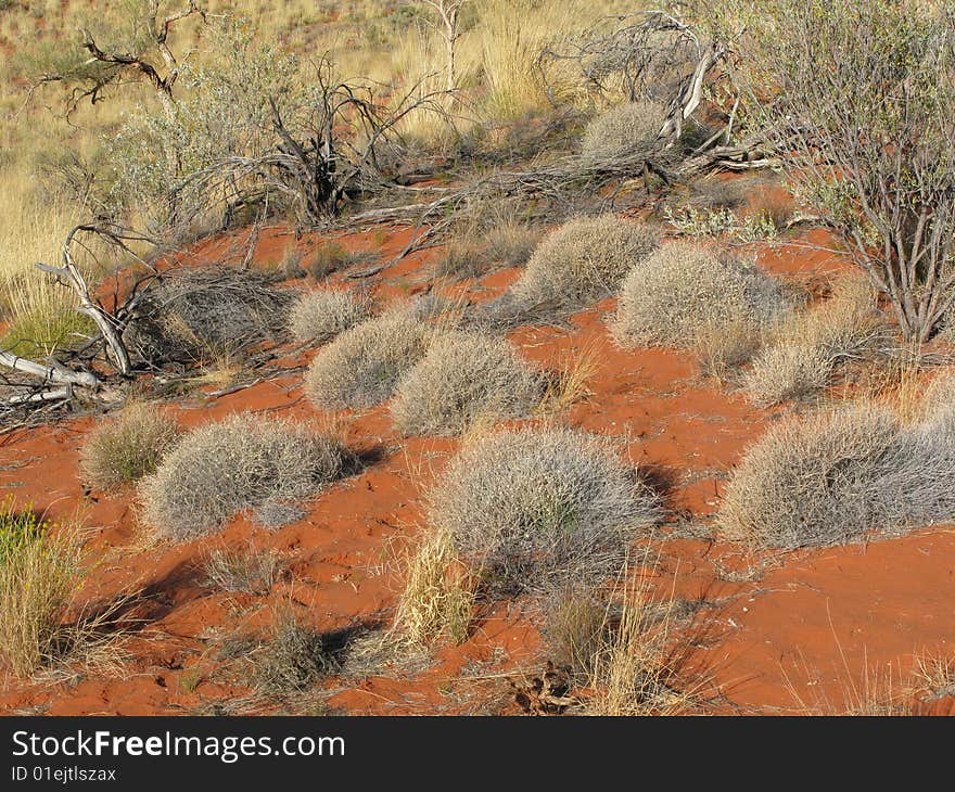 Shrubby surrounded countryside near famous natural landmark Kata Tjuta - A World Heritage Area. Olgas. Australia. Shrubby surrounded countryside near famous natural landmark Kata Tjuta - A World Heritage Area. Olgas. Australia.