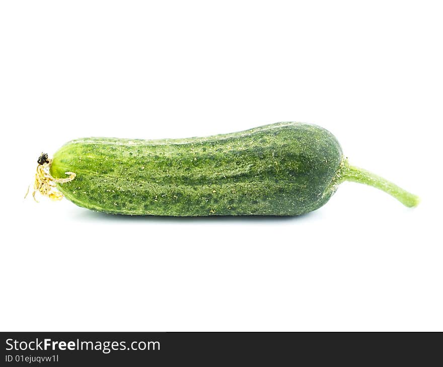 Green cucumber