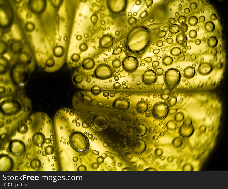 Photo of lemon slice fruit and bubbles