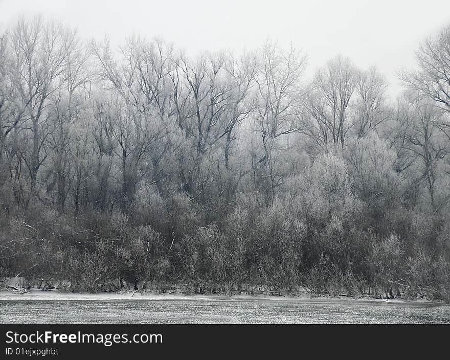 Black winter trees on riverbank scenic landscape. Black winter trees on riverbank scenic landscape