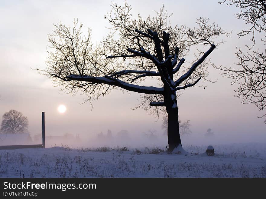 Winter landscape