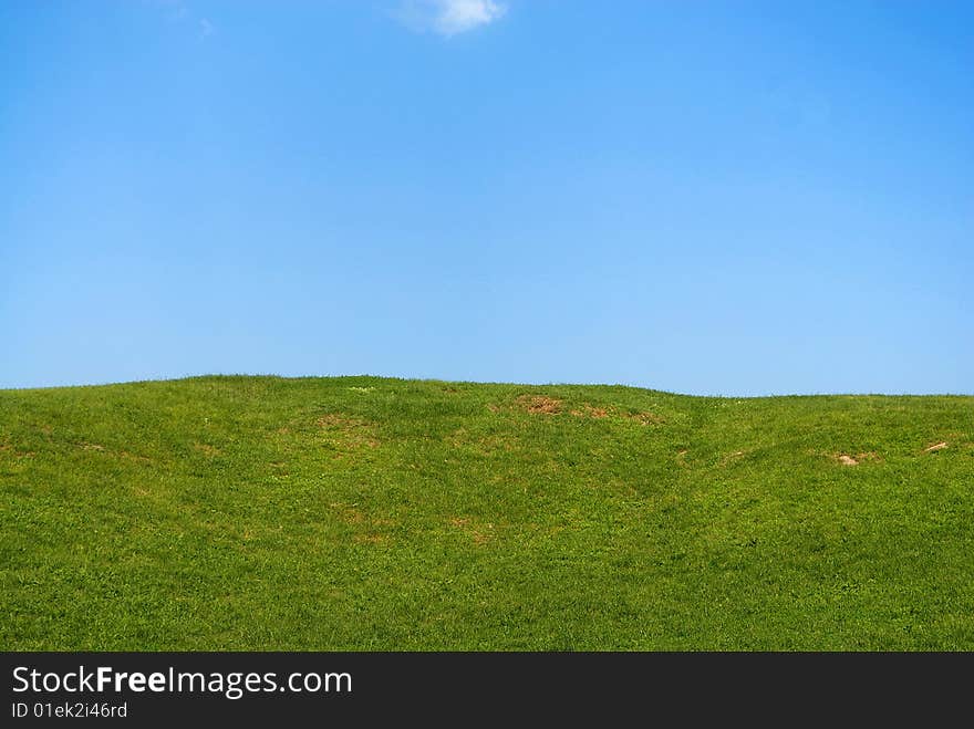 Green grass and the blue sky. Green grass and the blue sky