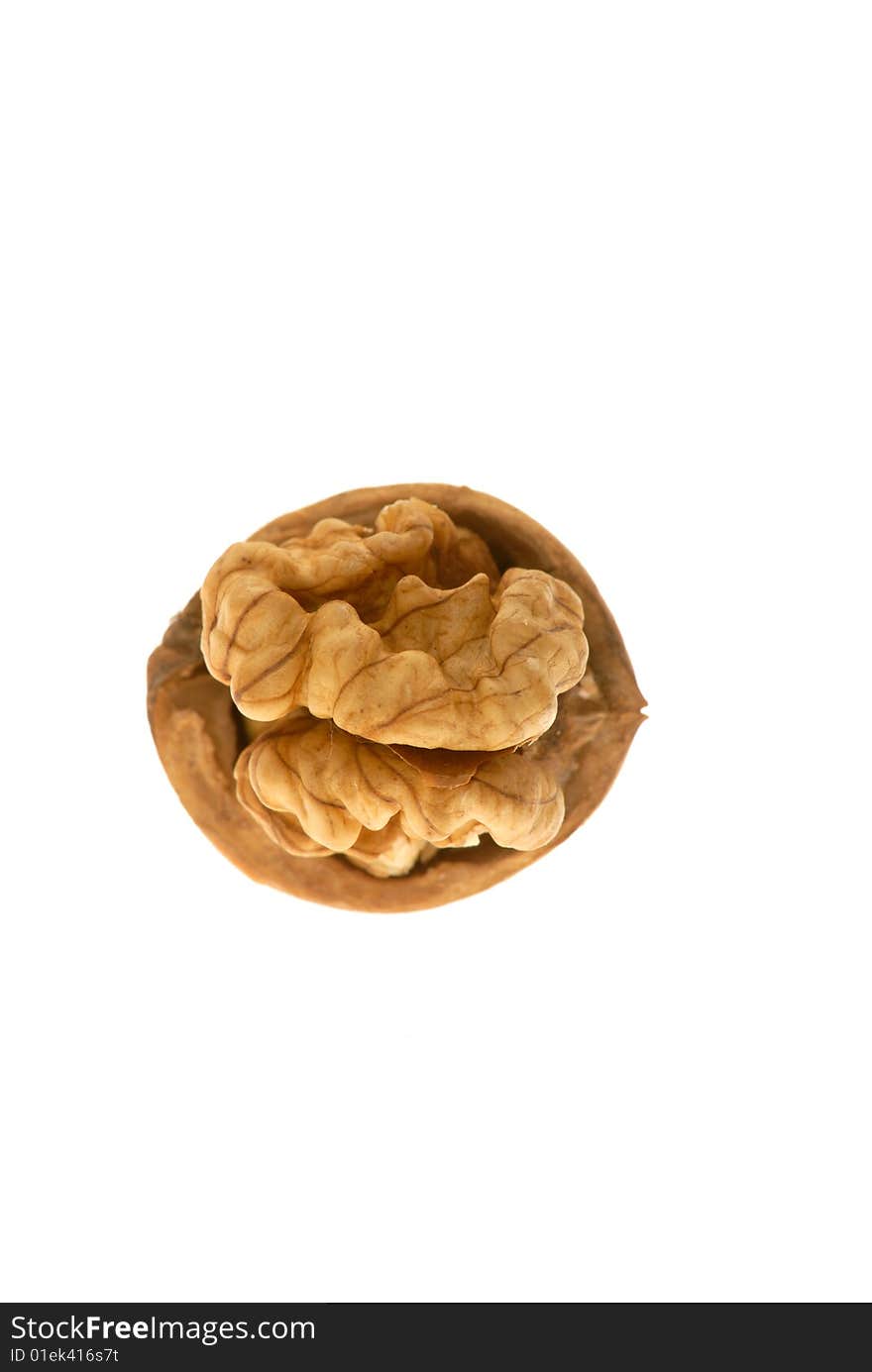 Walnut in closeup