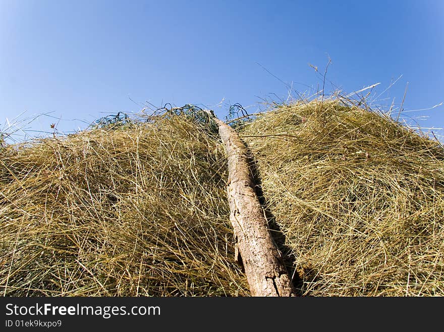 Old fashion way to stack hay in rural Serbia. Old fashion way to stack hay in rural Serbia