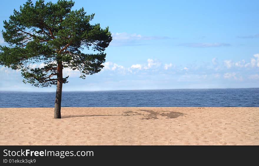 Summer on the beach