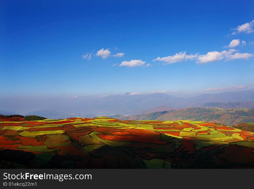 It is red land in yunan. It is red land in yunan