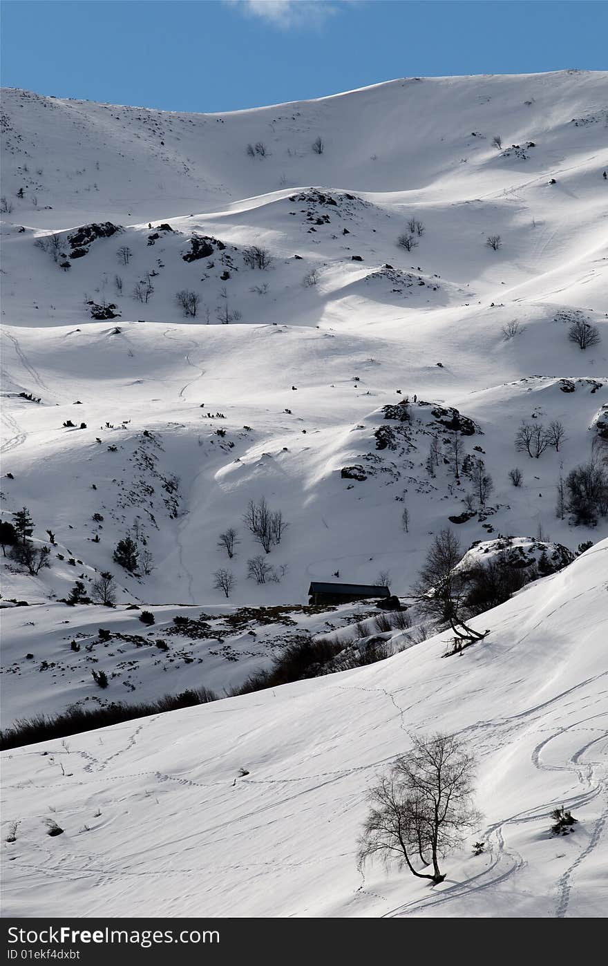 Landscape in winter