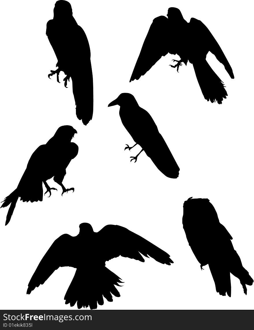 Illustration with six bird silhouettes isolated on white background