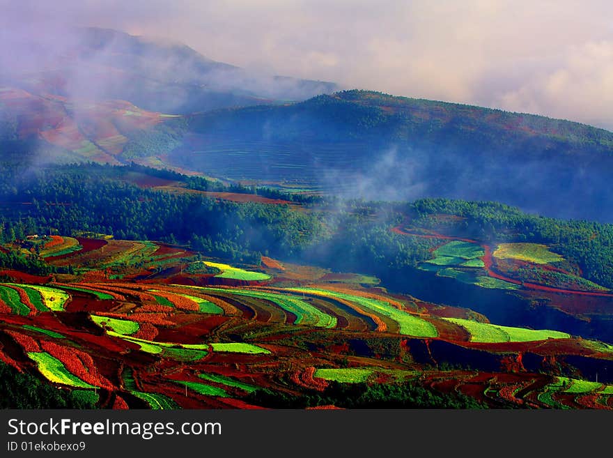 It is many farmland in yunan