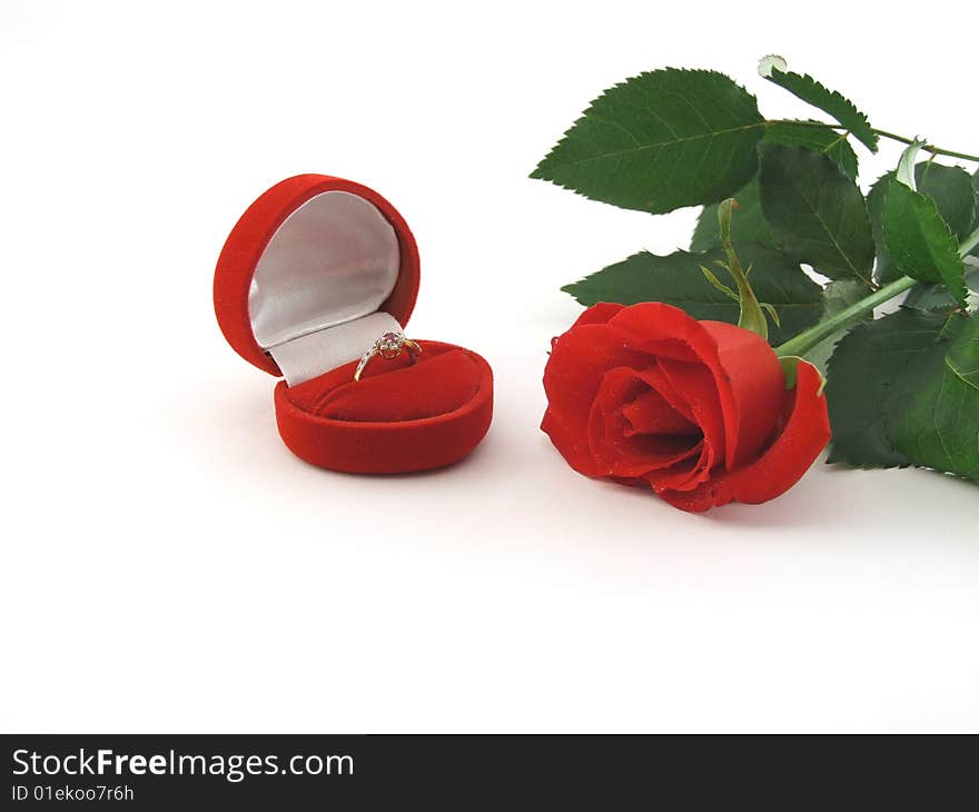 Red Rose And Ring