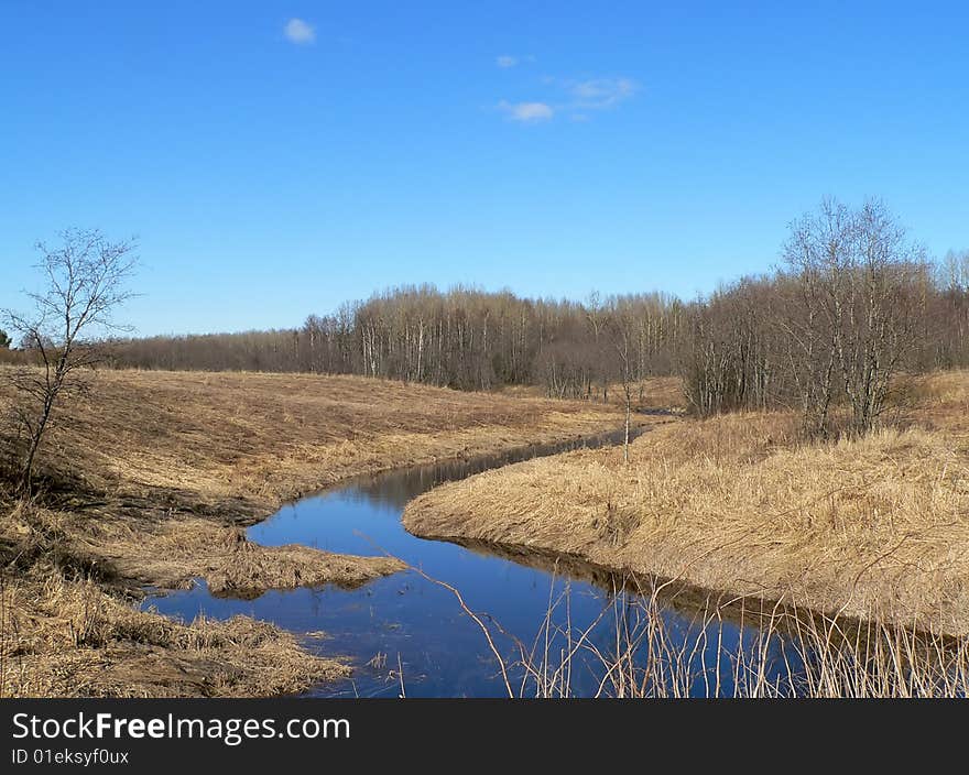 Spring s landscape