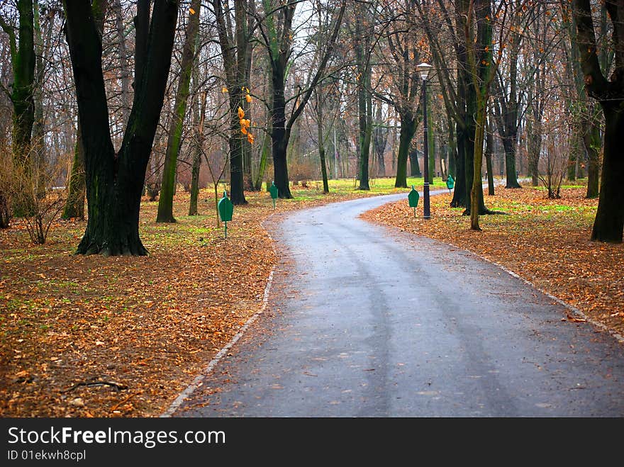 Colourful alley in the autumn park. Colourful alley in the autumn park