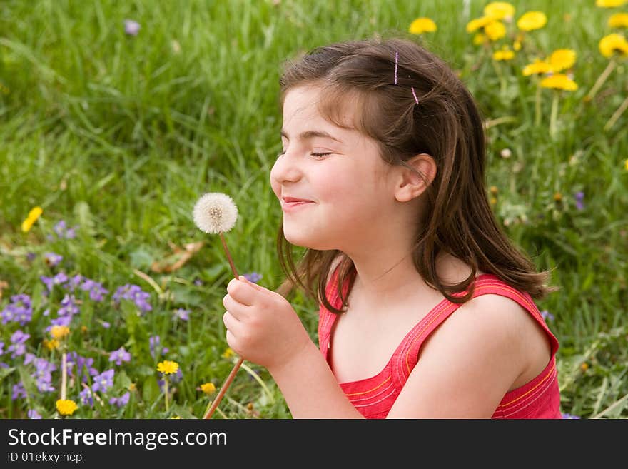 Little Girl Blowing Dandelion Seeds