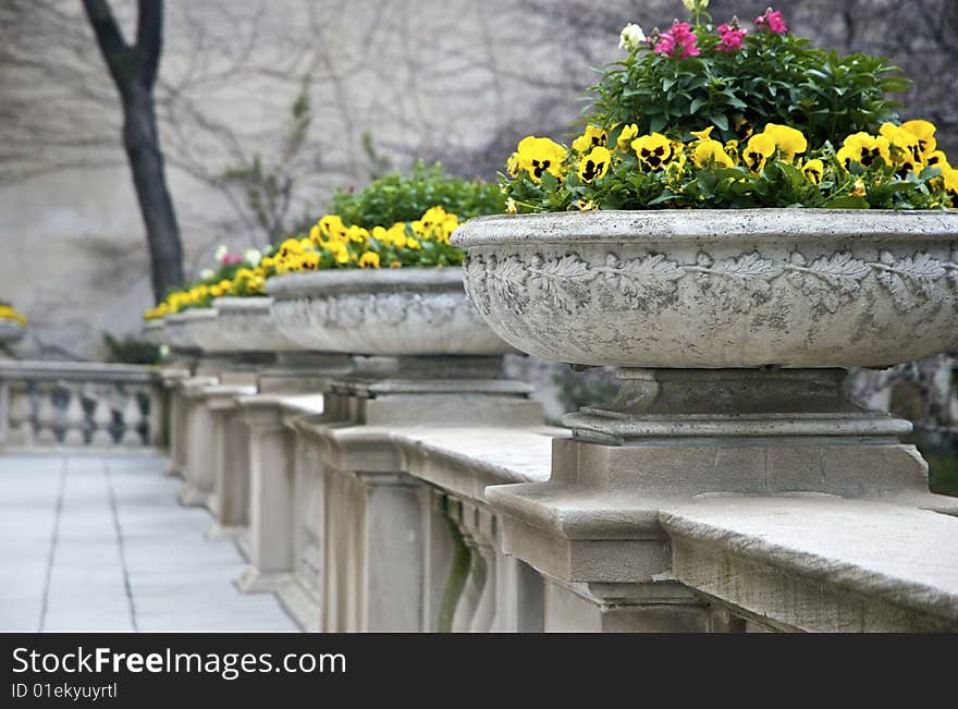 Flower Pots in a City Square